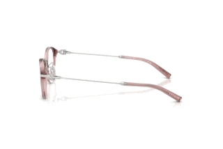 Vista laterale Coach HC6268D (5568)