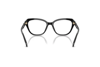 Vista posteriore Coach HC6273U (5002)