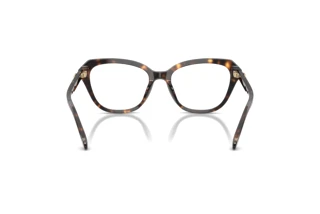 Vista posteriore Coach HC6273U (5120)