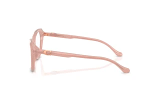 Vista laterale Coach HC6273U (5839)