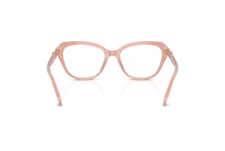 Vista posteriore Coach HC6273U (5839)