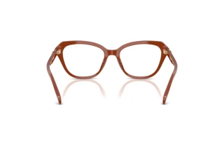 Vista posteriore Coach HC6273U (5841)