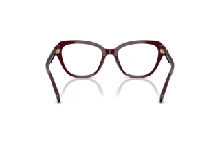 Vista posteriore Coach HC6273U (5915)