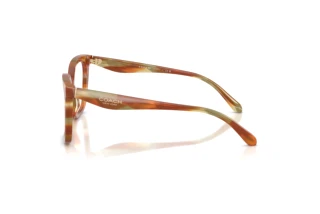 Vista laterale Coach HC6274U (5898)