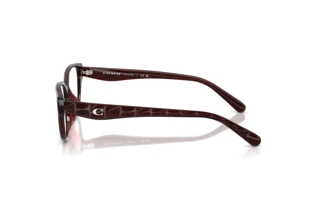 Vista laterale Coach HC6279D (5915)