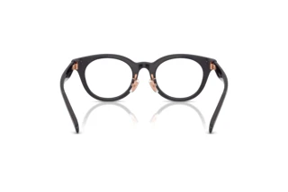 Vista posteriore Coach HC6280D (5104)