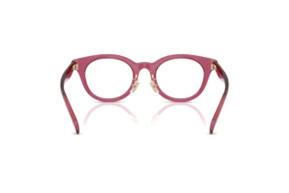 Vista posteriore Coach HC6280D (5824)