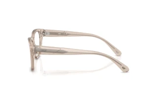 Vista laterale Diesel DL4001 (2007)