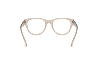 Vista posteriore Diesel DL4001 (2007)