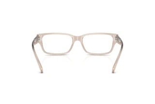 Vista posteriore Diesel DL4002 (2007)