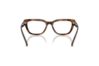 Vista posteriore Diesel DL4003 (2021)