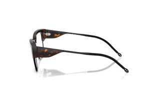 Vista laterale Diesel DL4005 (2003)