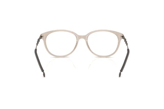 Vista posteriore Diesel DL4007 (2007)