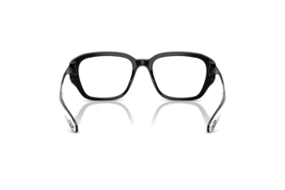 Vista posteriore Diesel DL4009 (2001)