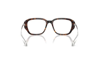 Vista posteriore Diesel DL4009 (2003)