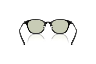 Vista posteriore Diesel DL4013D (2063)