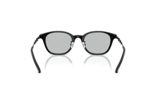 Vista posteriore Diesel DL4013D (2064)