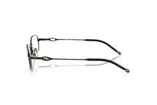 Vista laterale Diesel DL5004D (1029)