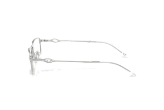 Vista laterale Diesel DL5008D (1001)