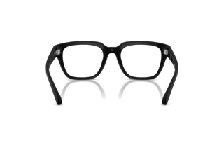 Vista posteriore Diesel DL6001U (2002)