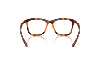 Vista posteriore Diesel DL6004U (2003)