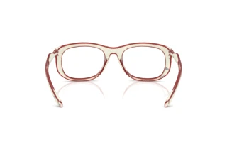 Vista posteriore Diesel DL6006U (2010)