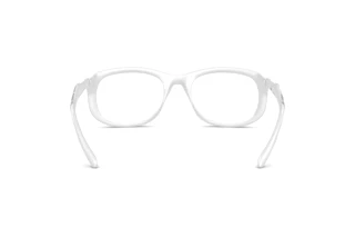 Vista posteriore Diesel DL6006U (2029)