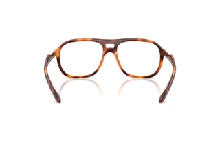 Vista posteriore Diesel DL6008U (2003)