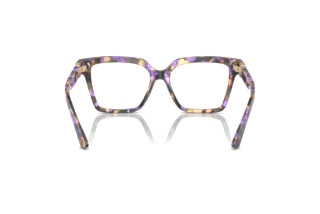 Vista posteriore Dolce & Gabbana DG3395 (3439)