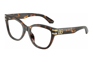 Dolce & Gabbana DG3418 502 Havana