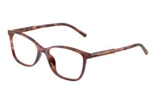 Vista frontale Dolce & Gabbana DG3424 (3444)