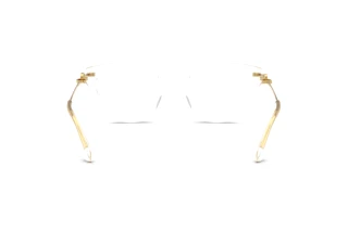 Vista posteriore Dolce & Gabbana DG3428 (3133)