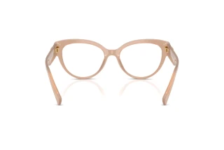 Vista posteriore Dolce & Gabbana DG3440 (3042)