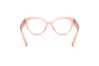 Vista posteriore Dolce & Gabbana DG3440 (3384)