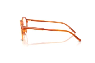 Vista laterale Dolce & Gabbana DG3444 (3483)