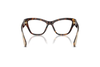 Vista posteriore Dolce & Gabbana DG3448 (502)