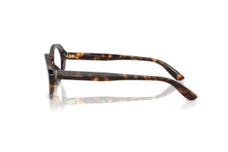 Vista laterale Dolce & Gabbana DG3450 (502)