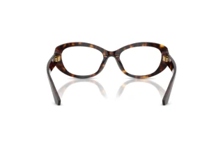 Vista posteriore Dolce & Gabbana DG3455 (502)