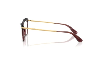 Vista laterale Dolce & Gabbana DG5025 (3045)