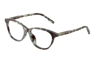Vista frontale Dolce & Gabbana DX3002 (3443)