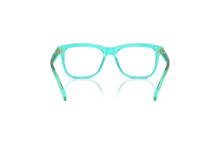 Vista posteriore Dolce & Gabbana DX3356 (3322)