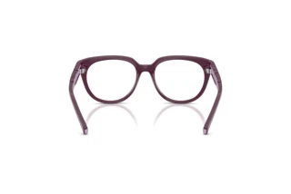 Vista posteriore Dolce & Gabbana DX5007 (3360)