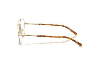 Vista laterale Emporio Armani EA1178 (3002)