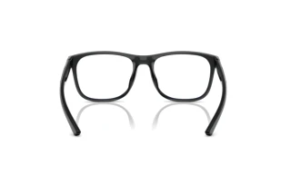 Vista posteriore Ferrari Scuderia FZ8014D (521)