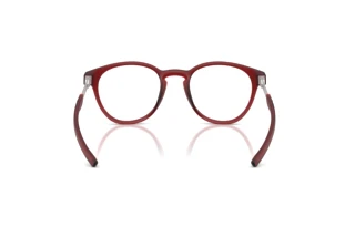 Vista posteriore Ferrari Scuderia FZ8019U (508)