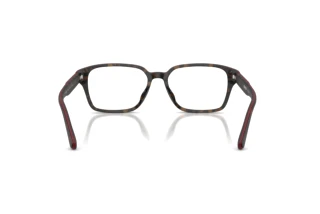 Vista posteriore Ferrari Scuderia FZ8029D (763)