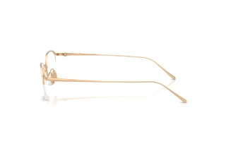 Vista laterale Giorgio Armani AR5157T (3411)