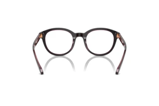 Vista posteriore Giorgio Armani AR7256 (6088)