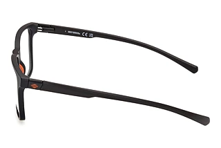 Vista laterale Harley-Davidson HD50095 (002)