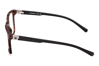 Vista laterale Harley-Davidson HD50095 (052)